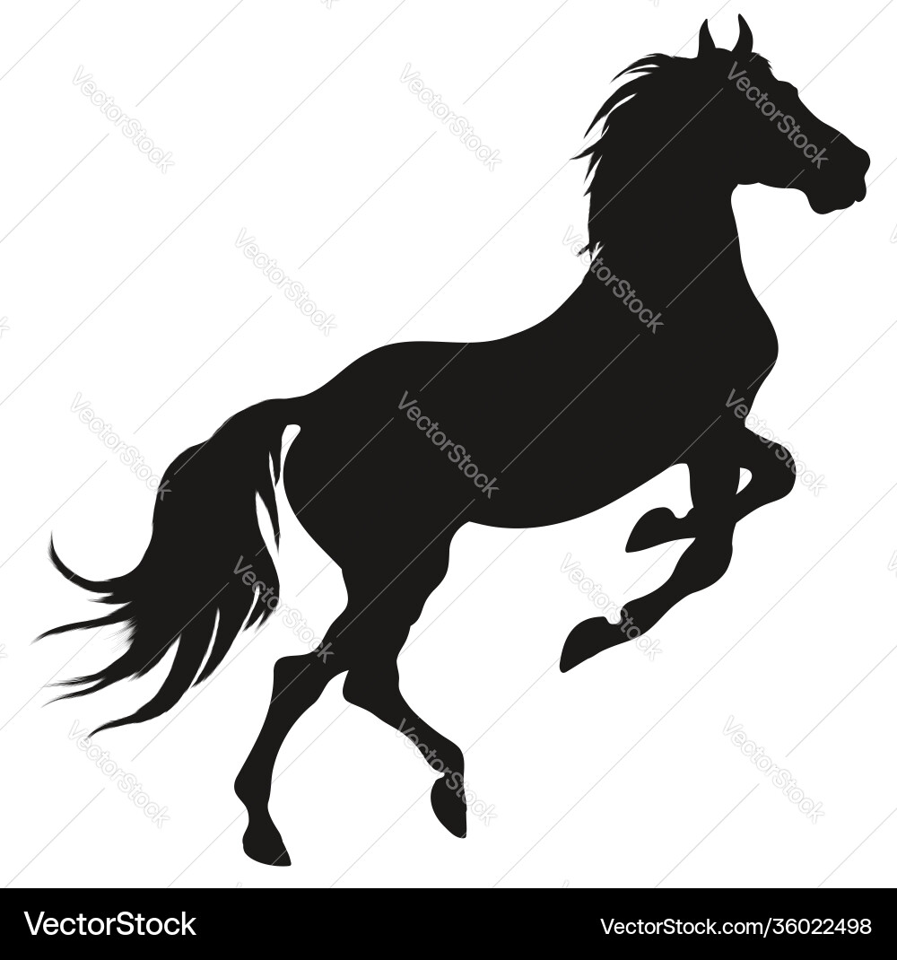 Rearing Black Horse Silhouette Vector Image