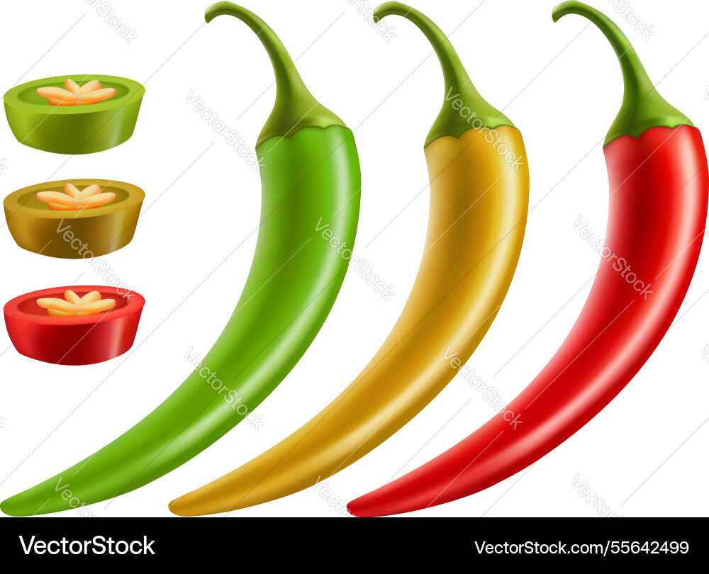 Sammlung von heißen Paprika rot grün gelbe Scheibe Sammlung von heißen Paprika rot grün gelbe Scheibe vektorbild