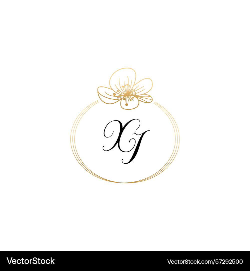 Botanical monogram logos with initial xi Botanical monogram logos with initial xi Vector Image