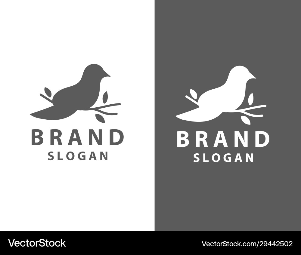 Abstract bird logo design template linear style Abstract bird logo design template linear style vector image