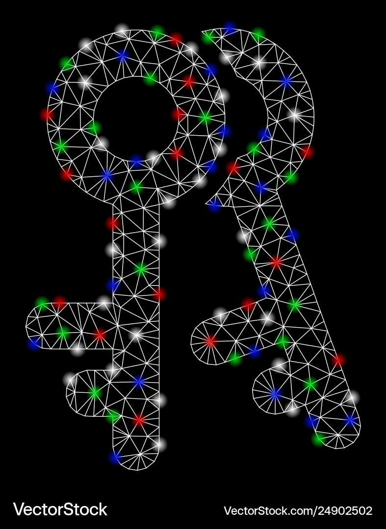 Bright mesh 2d access keys with flash spots Bright mesh 2d access keys with flash spots vector image