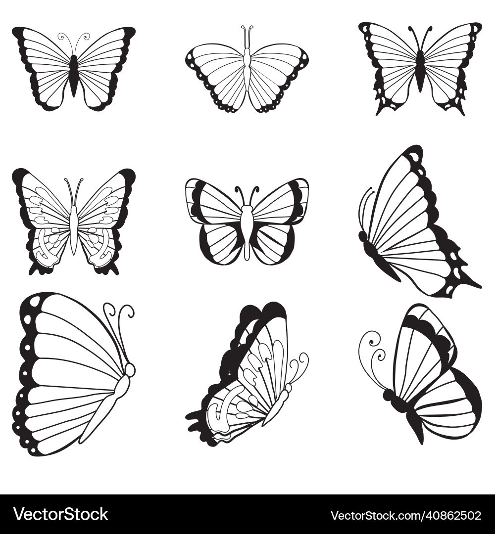 Hand gezeichneter Satz von Doodle Insekten monochromes Bild Hand gezeichneter Satz von Doodle Insekten monochromes Bild vektorbild