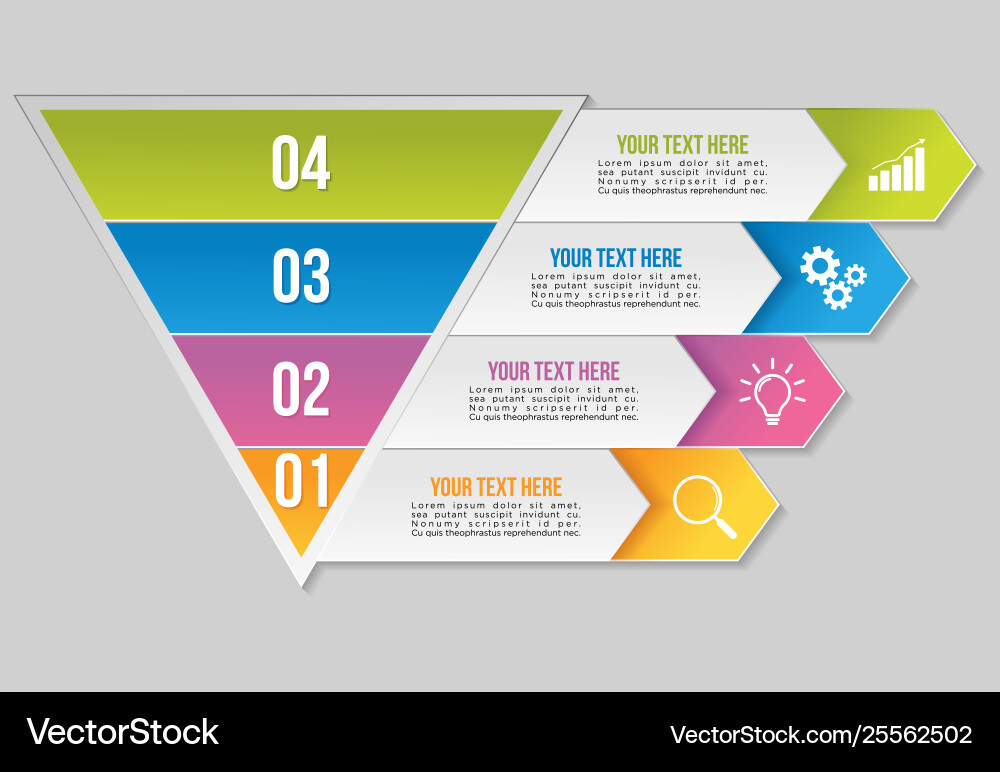 Infographic design template with options steps vector image