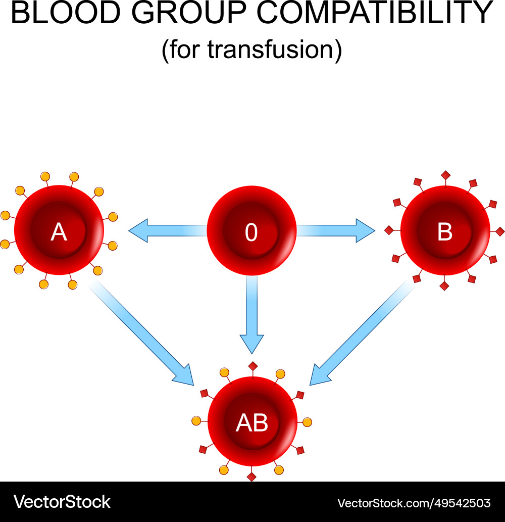 Blood group compatibility for transfusion donor Blood group compatibility for transfusion donor vector image