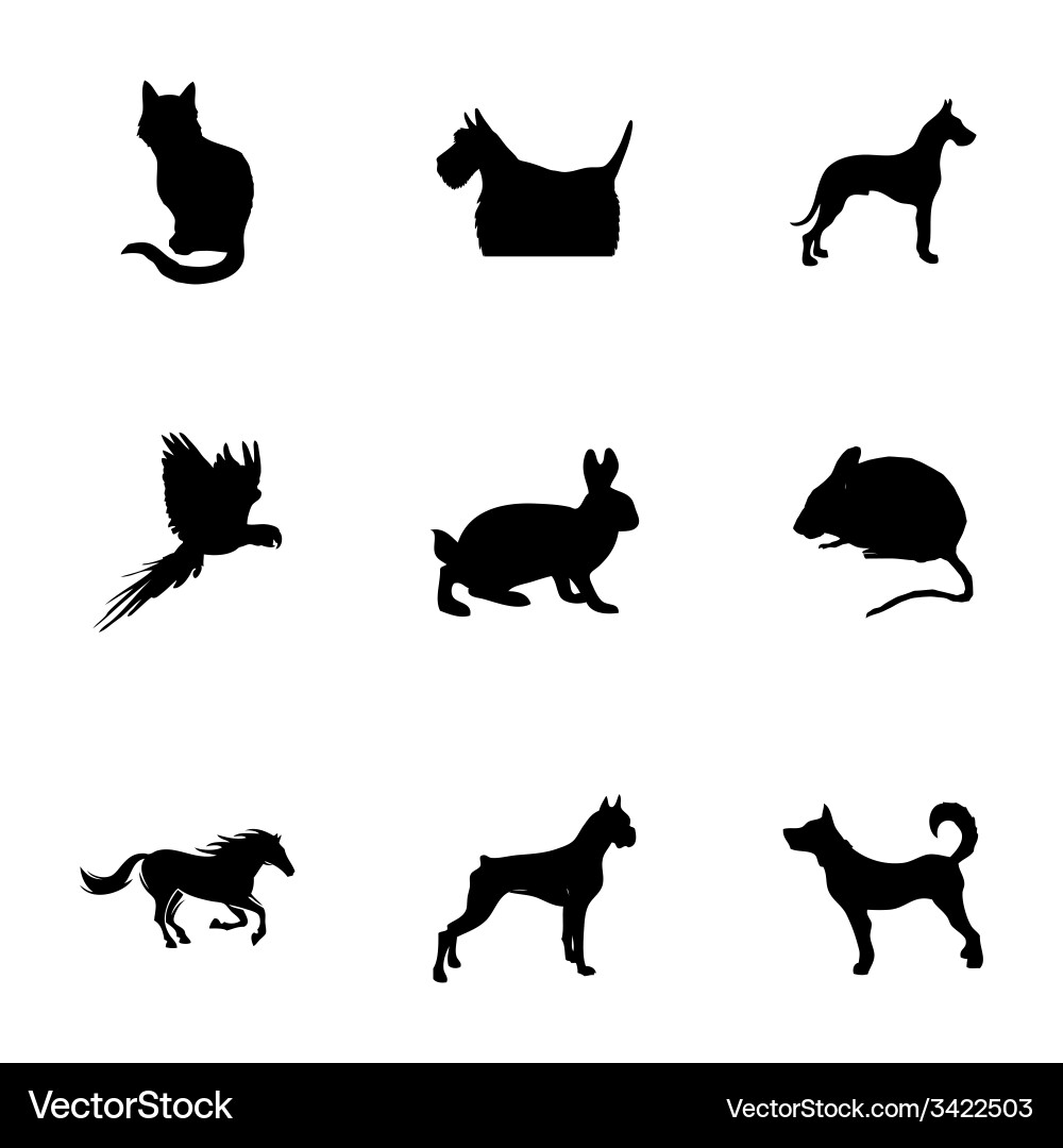 Pet Icon Set - Animals vector image