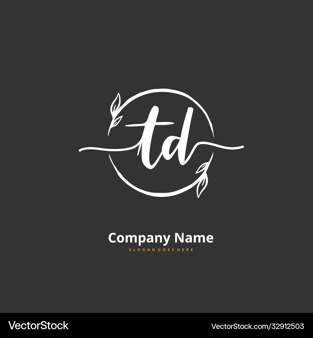 T d td initial handwriting and signature logo Vector Image