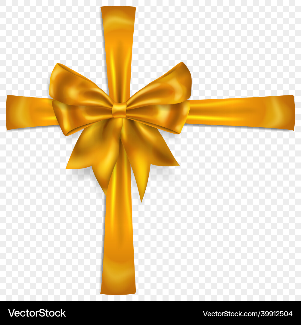 Beautiful bow with crosswise ribbons vector image