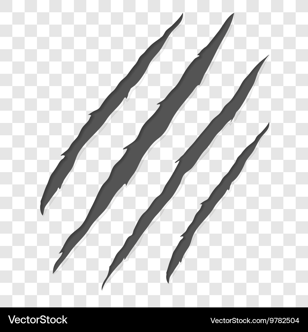 Sharp Claw Marks - Scratching Trails Vector Image