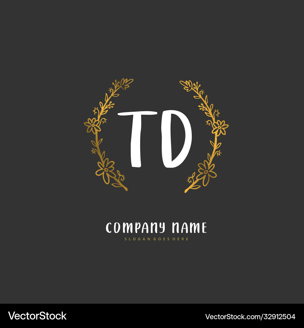 T d td initial handwriting and signature logo Vector Image