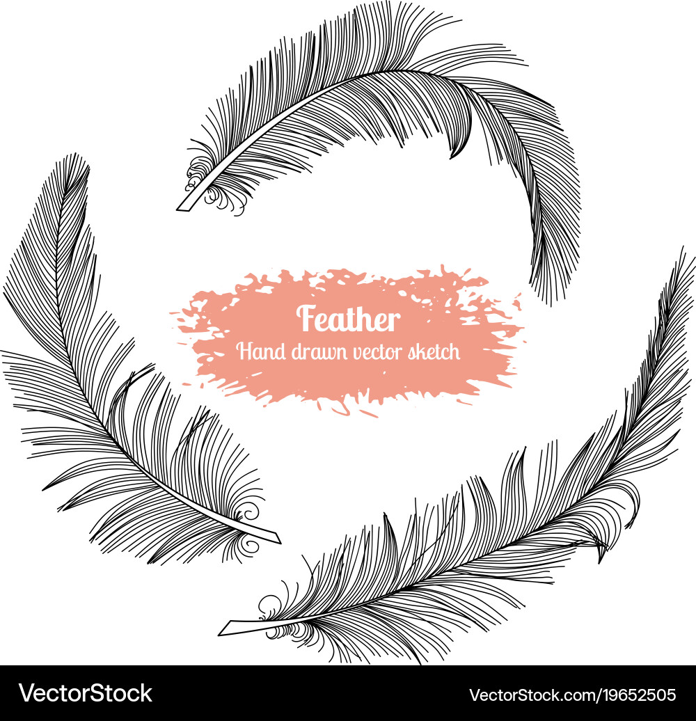 Feather Sketch Set - Boho Style Vector Image