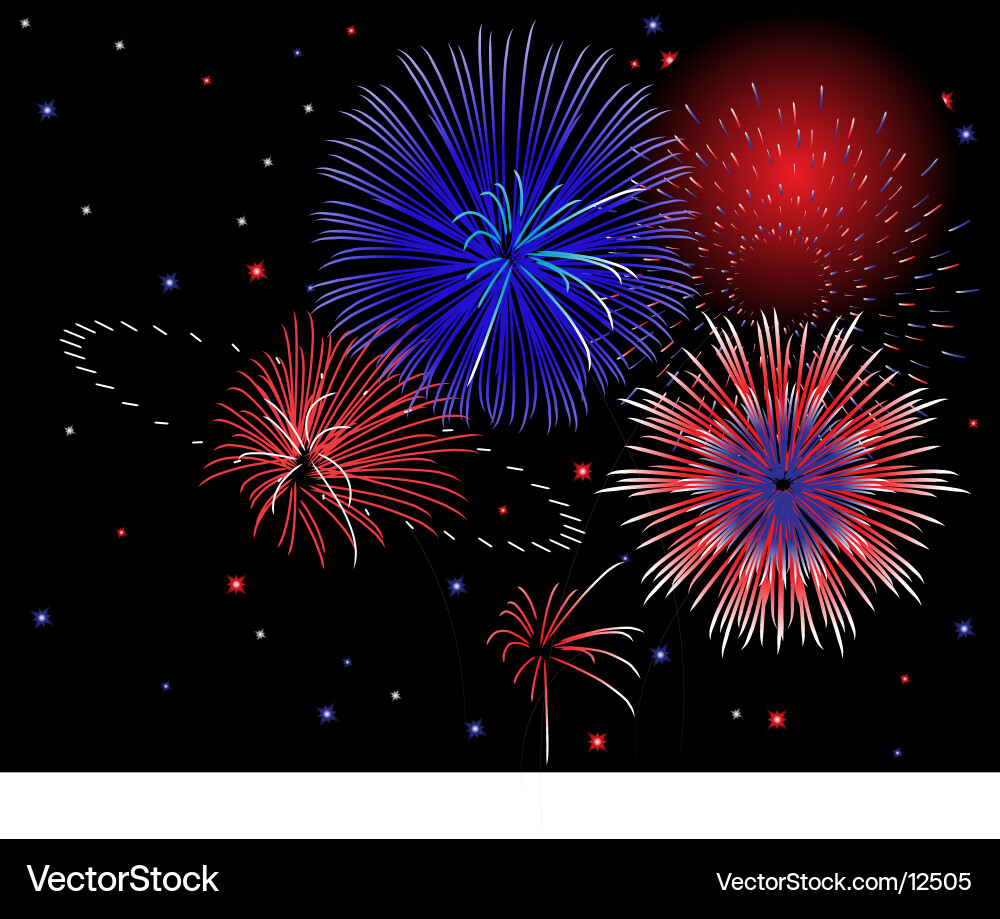 Spectacular Patriotic Fireworks Display vector image