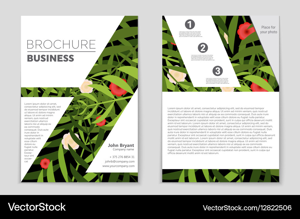 Abstract layout background set for art Vector Image