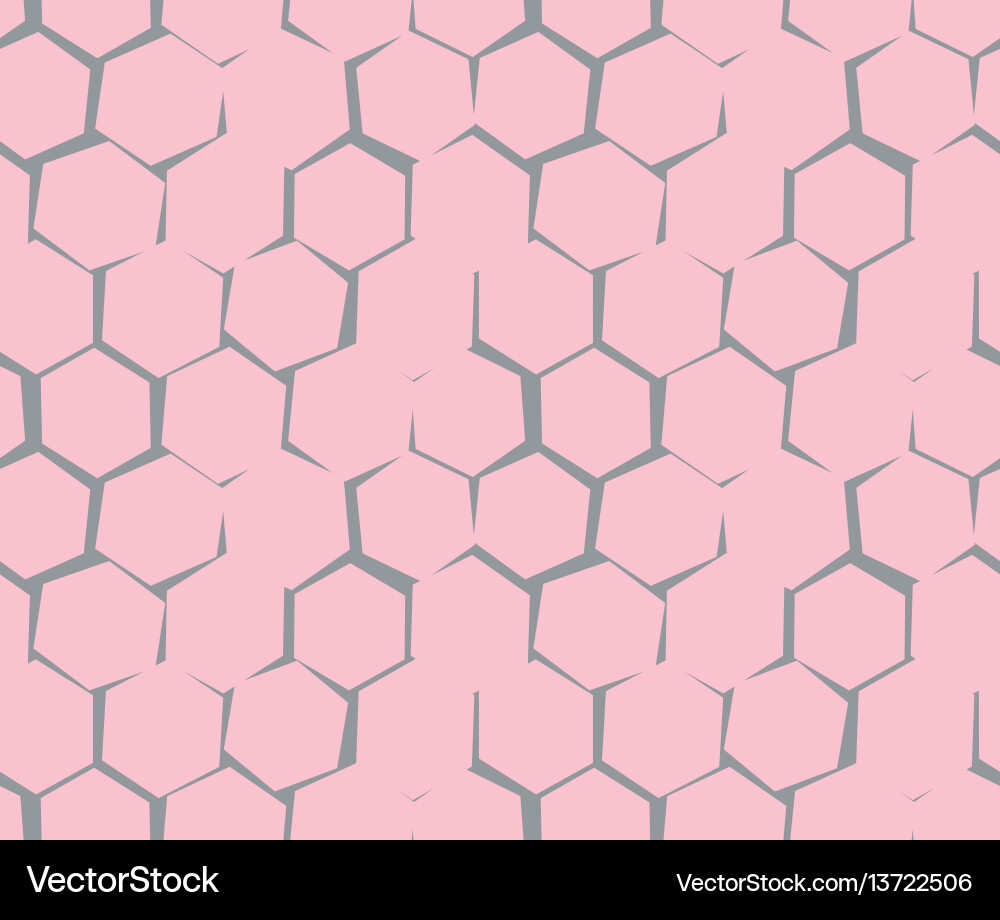 Abstract pattern of unequal cracks hexagons vector image