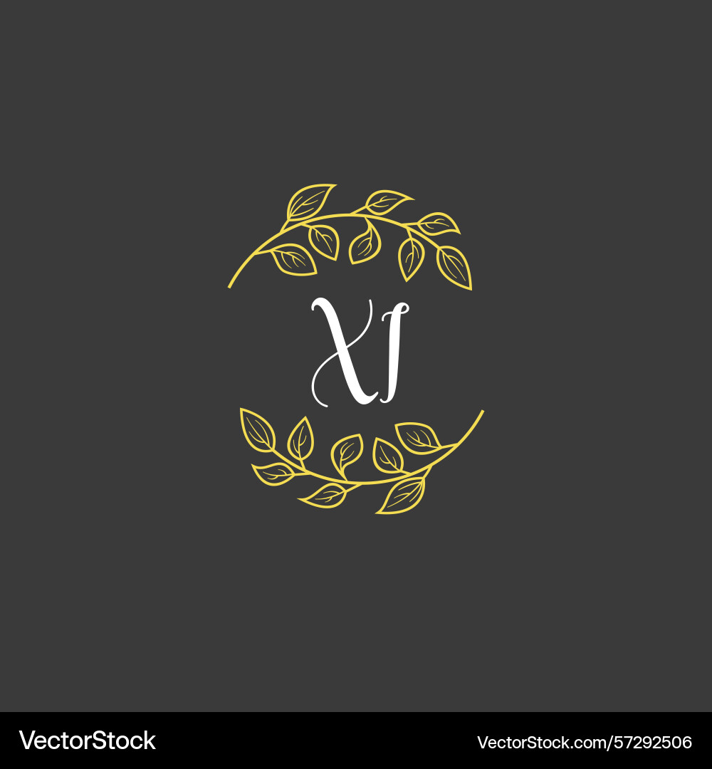 Botanical monogram logos with initial xi Botanical monogram logos with initial xi Vector Image