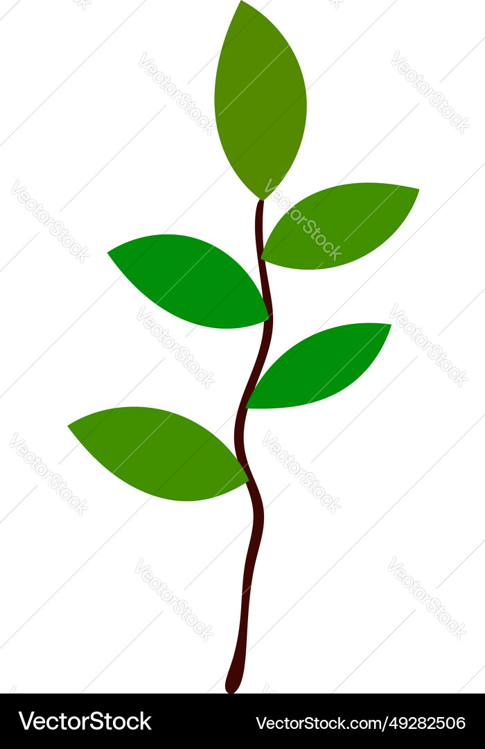 Branch of tree vector image