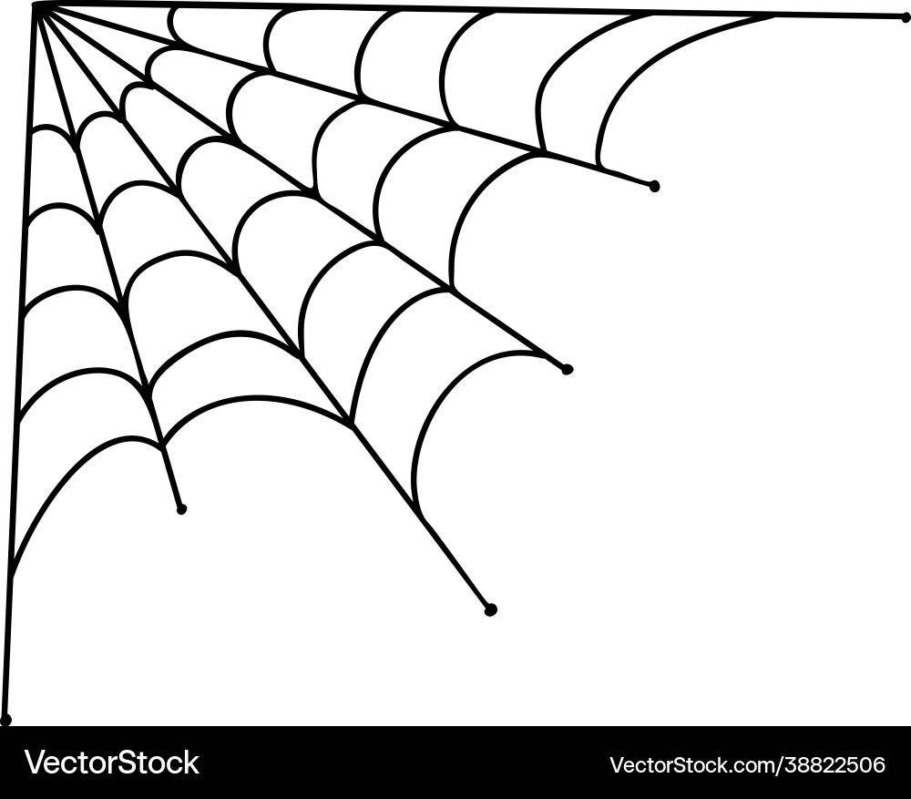 Spider web at corner for halloween decoration vector image