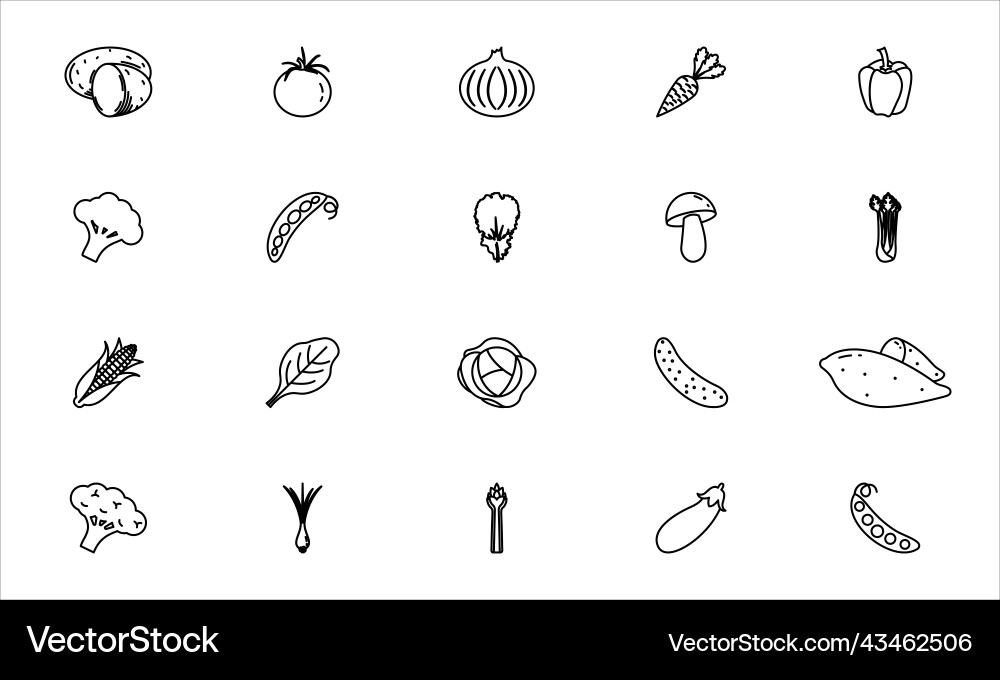 Vegetables icons set outline black eps 10 Vegetables icons set outline black eps 10 vector image