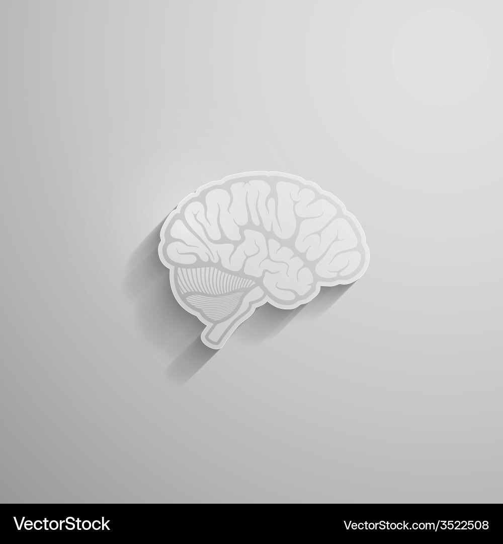 Paper Brain with Shadow Vector Image