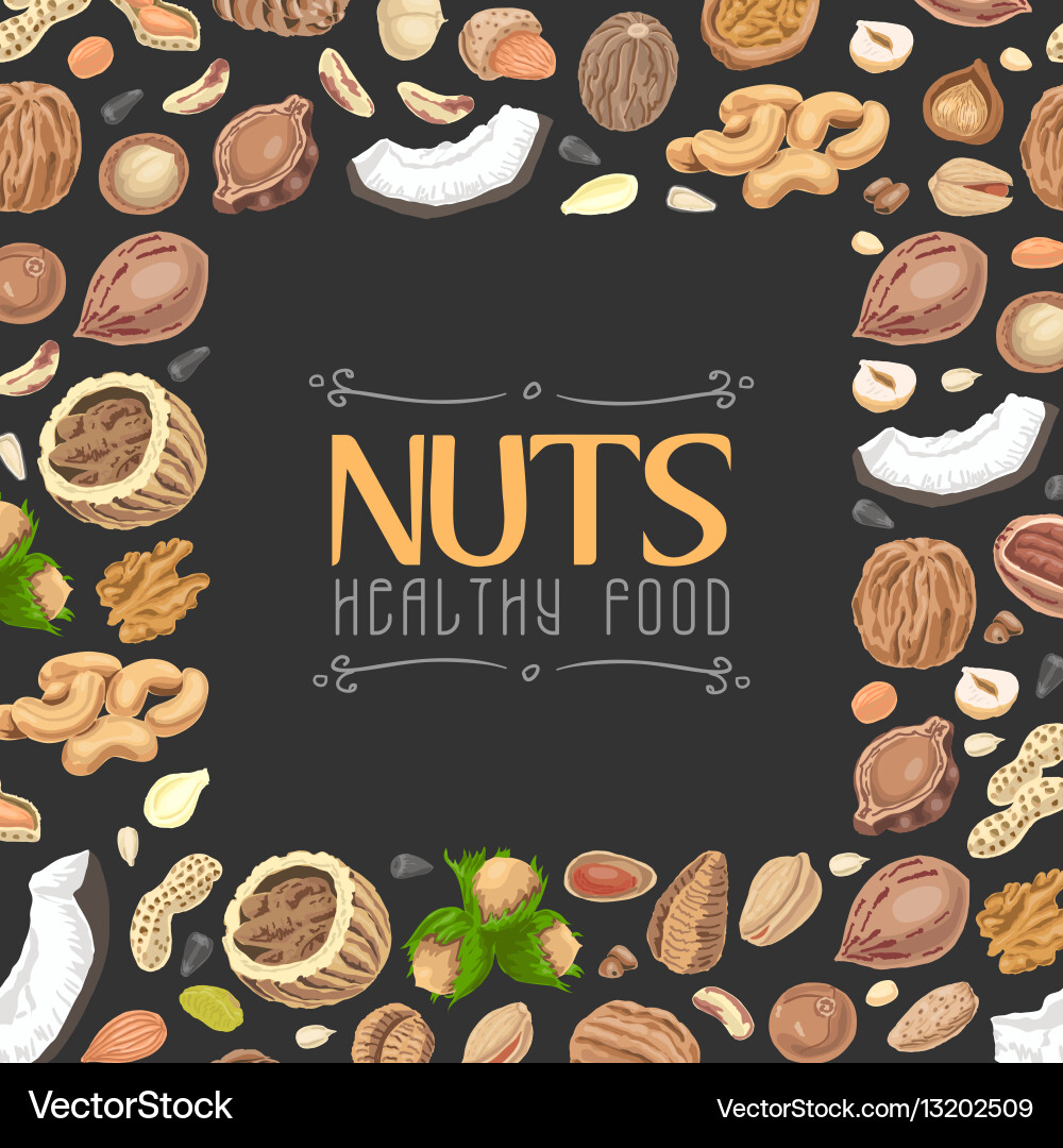 Background with colored nuts and seeds vector image
