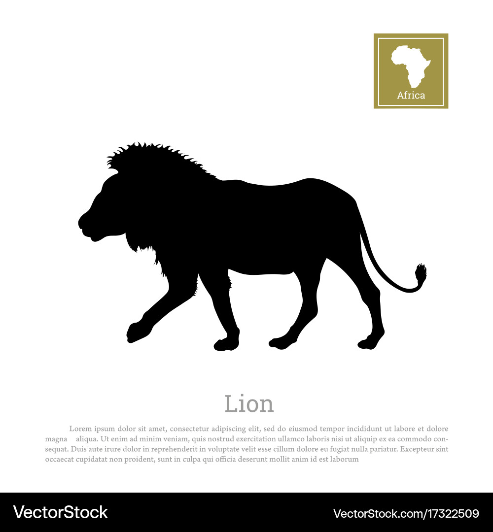 Black lion silhouette on white background Vector Image