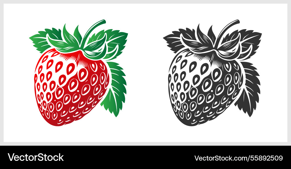 Design elements vector image
