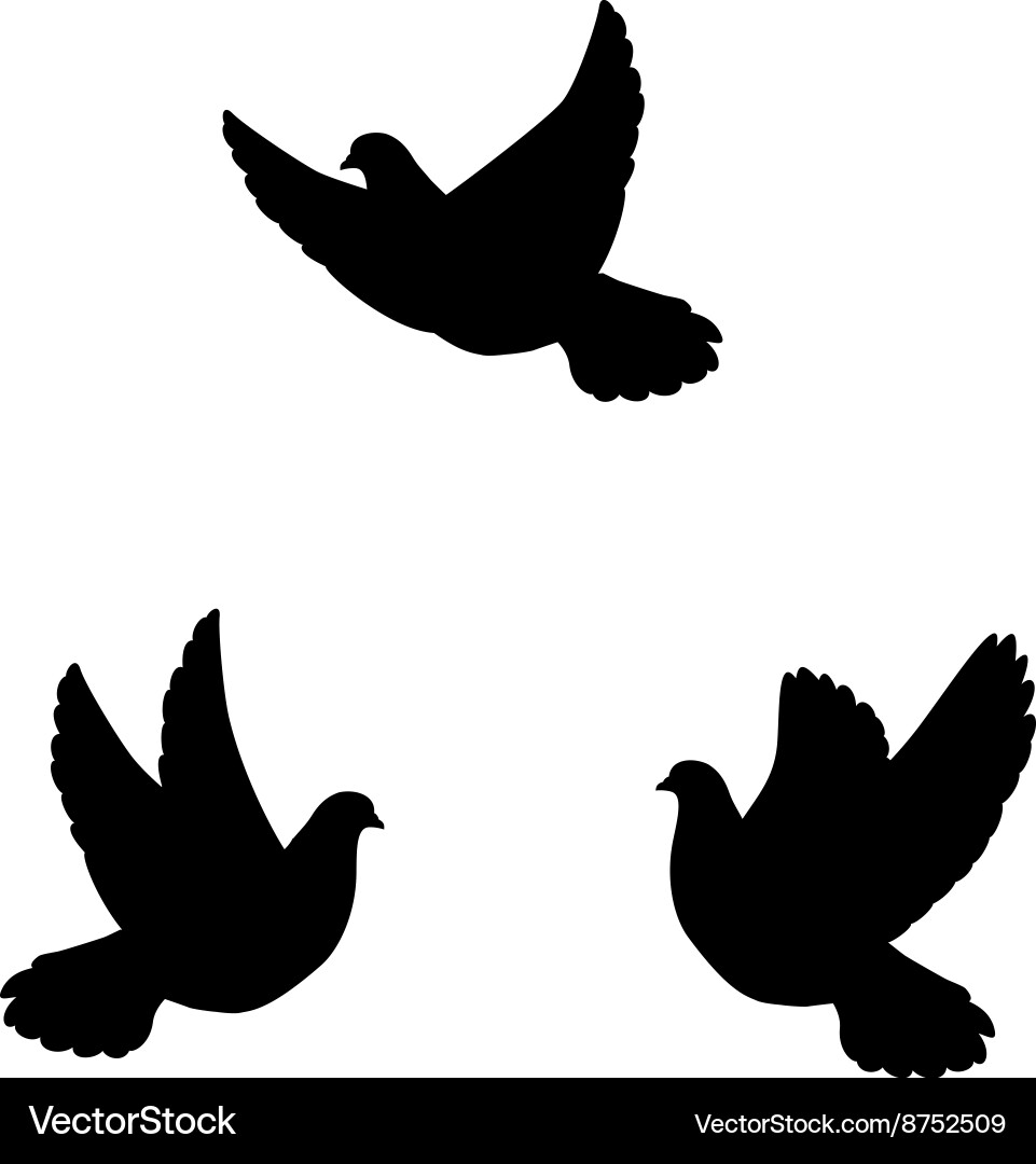 Isolated silhouette flying pigeons vector image