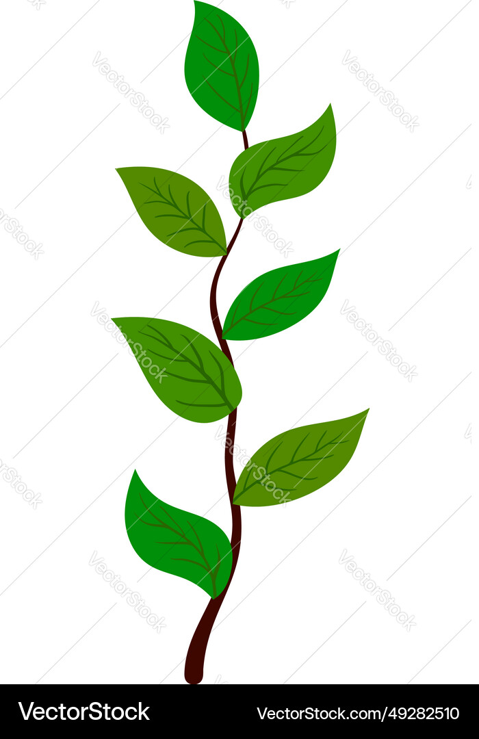 Branch of tree Branch of tree vector image