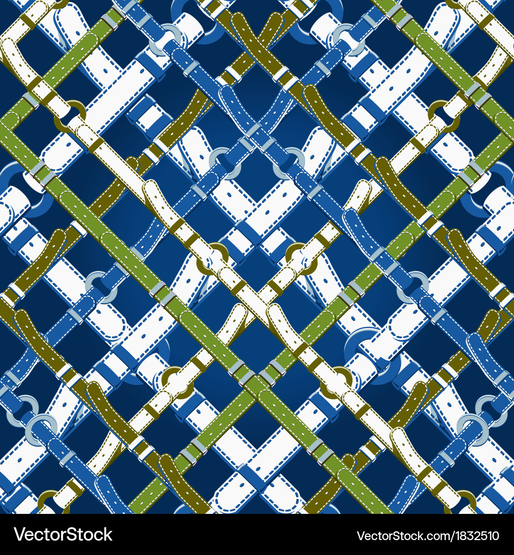 Seamless pattern in nautical style with belts vector image