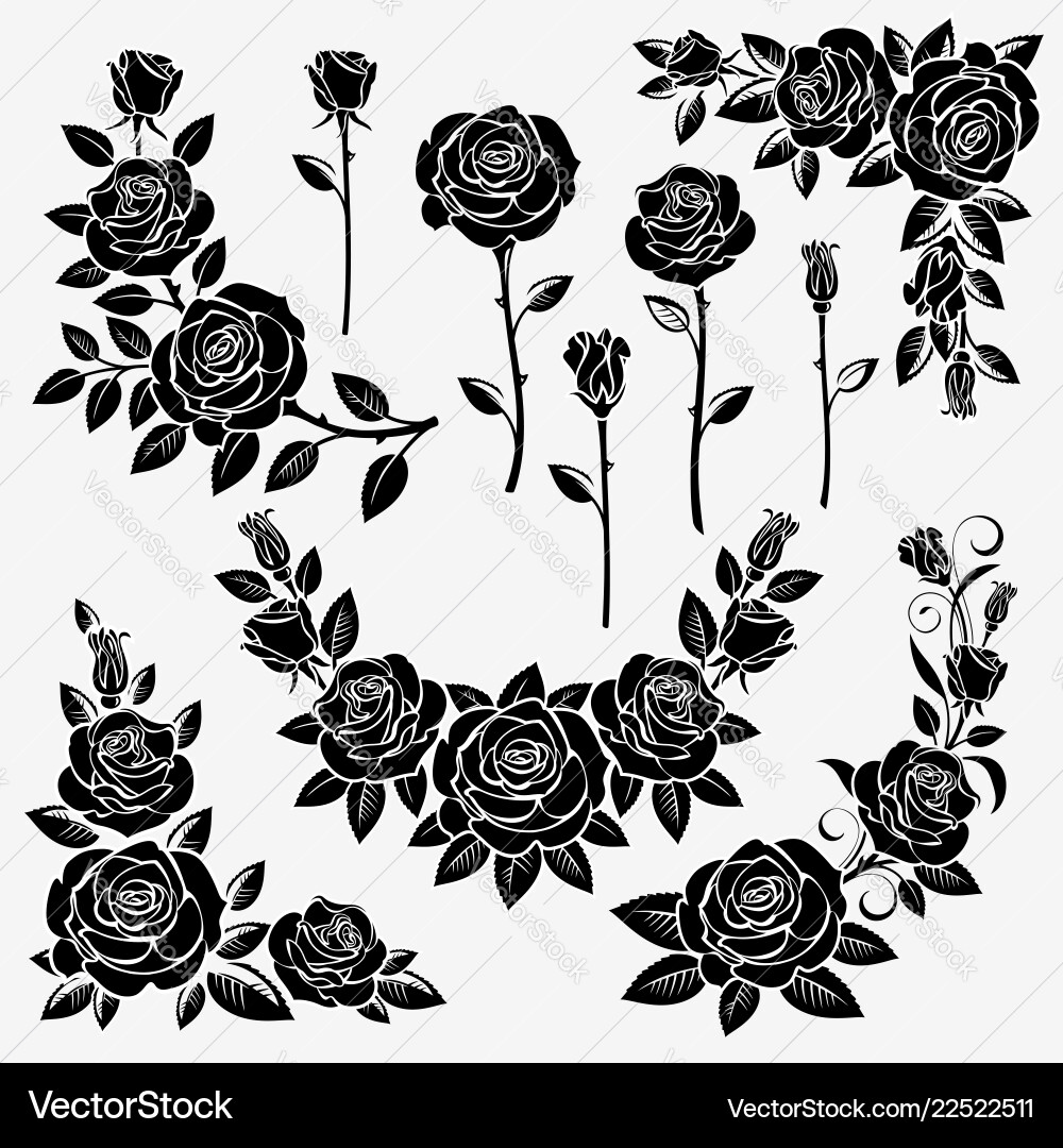 Elegant Rose Silhouettes Vector Image