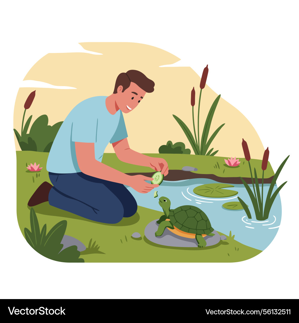 Man feeding turtle slice of cucumber beside Vector Image