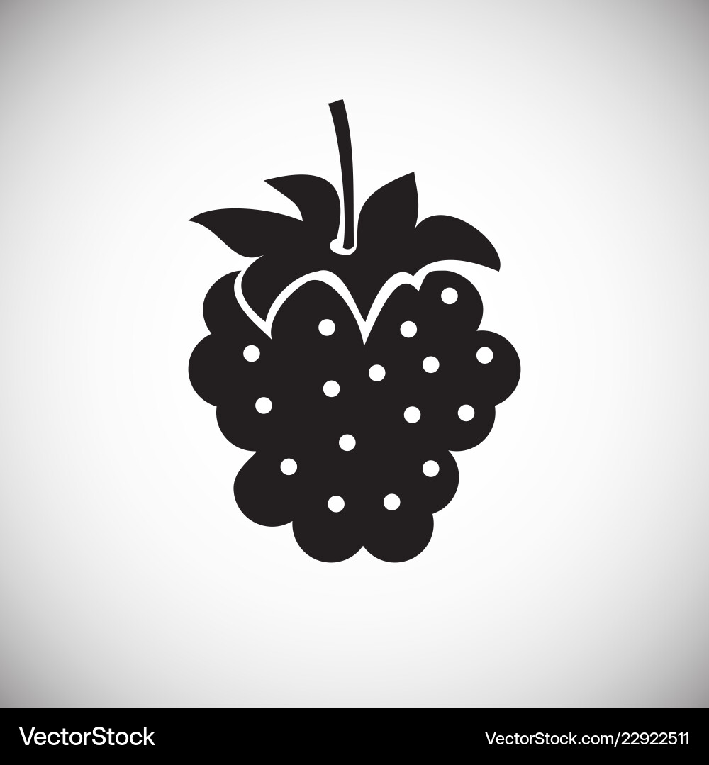 Raspberry on white background Vector Image