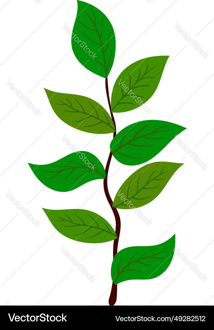 Branch of tree Branch of tree vector image