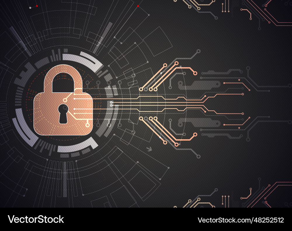 Data security cyber or information privacy Vector Image