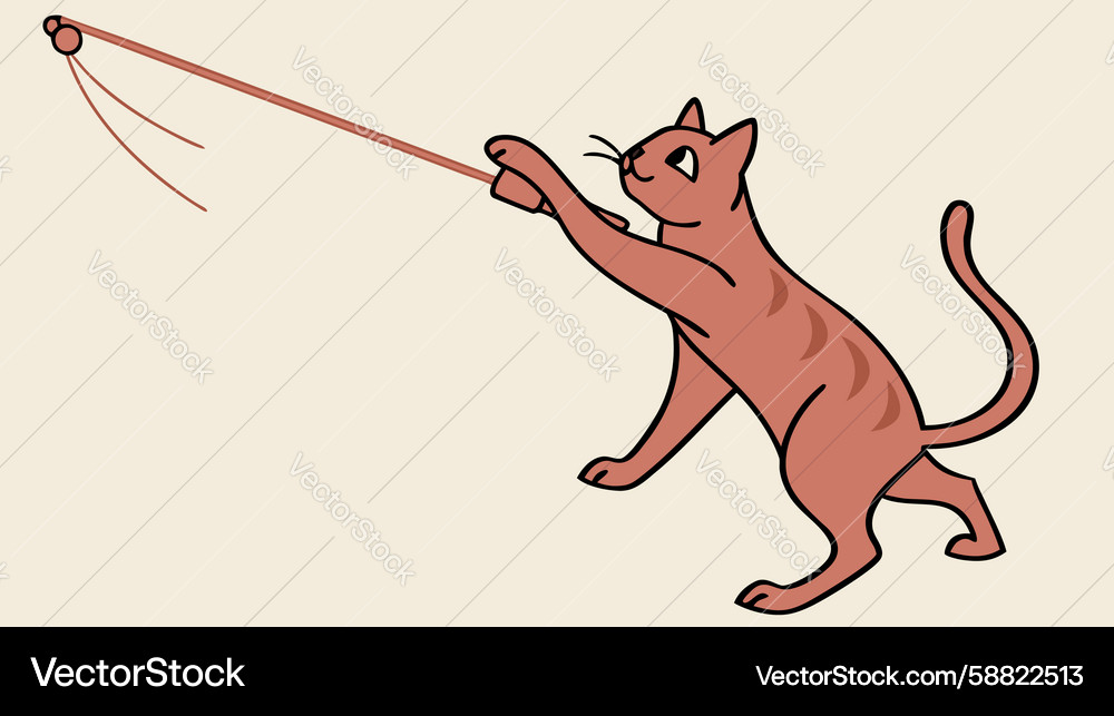 Cat Playing with String Toy Vector Image