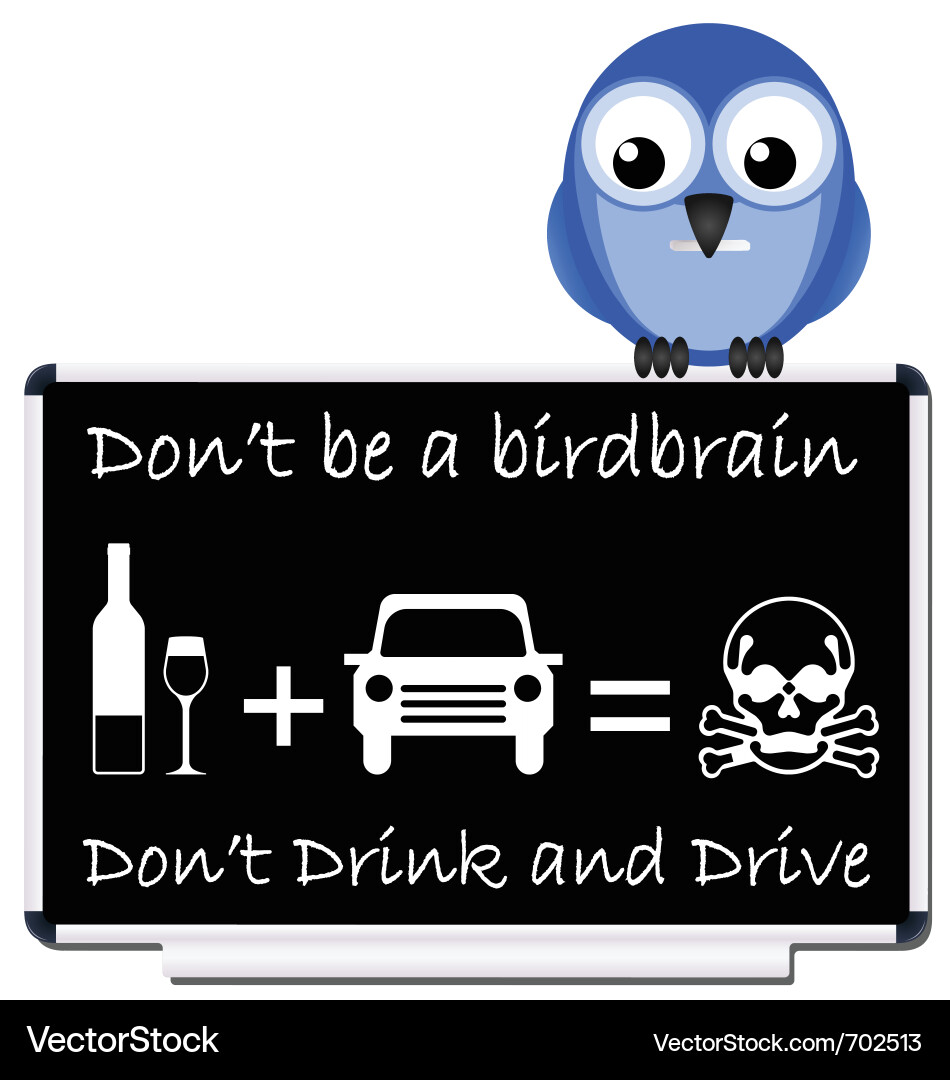 Drink and drive message Vector Image