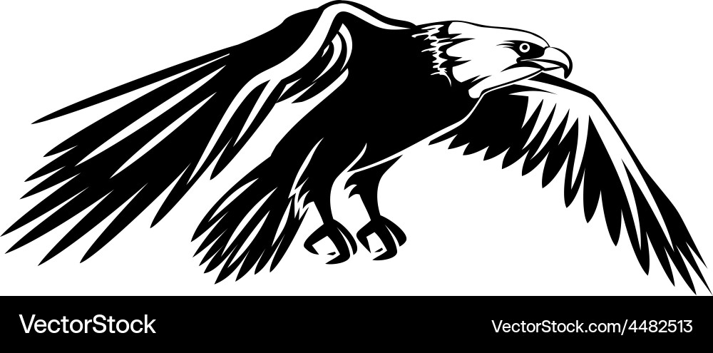 Flying bald eagle Royalty Free Vector Image - VectorStock