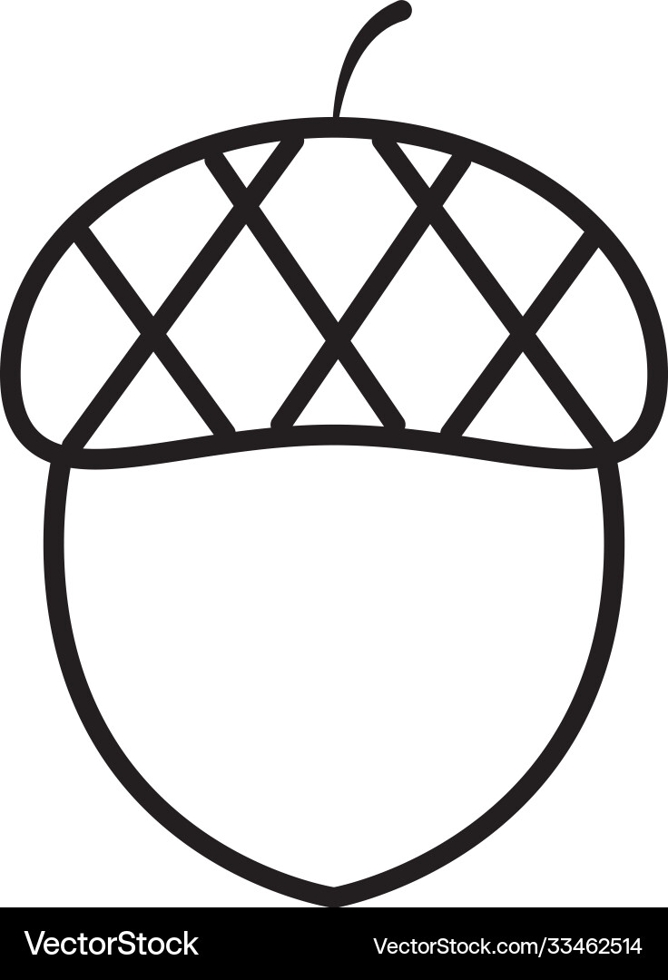 Acorn icon image line style vector image
