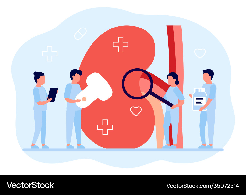 Kidney healthcare urology and nephrology doctors vector image