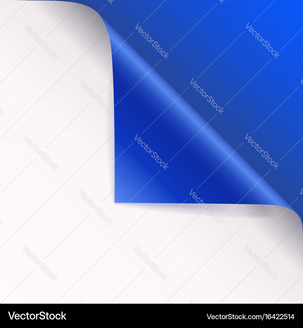 Paper Curl with Shadow vector image