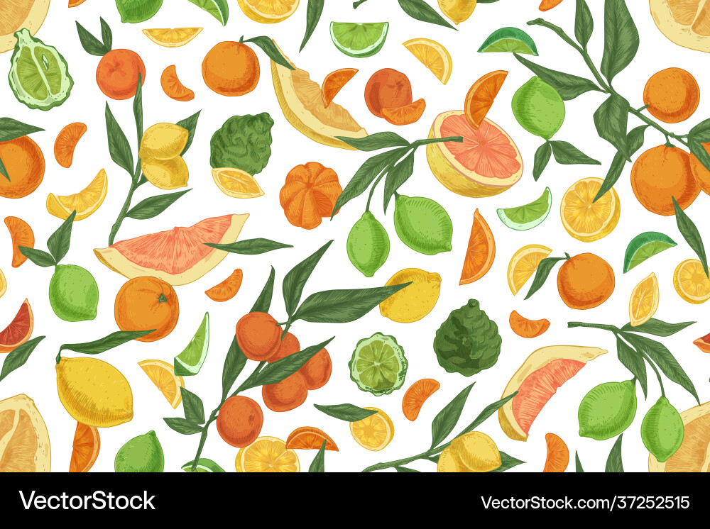 Seamless pattern with different citrus fruits Seamless pattern with different citrus fruits vector image