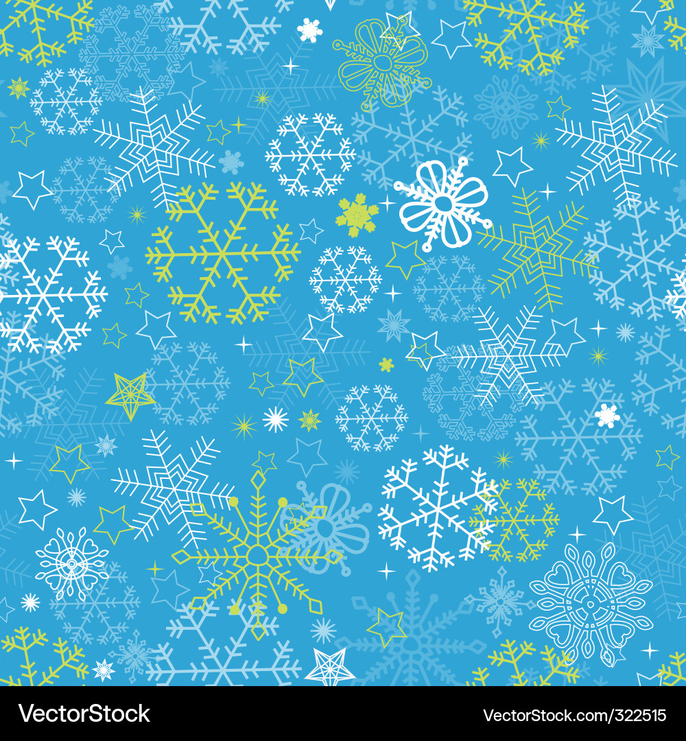 Winter Snowflake Pattern vector image