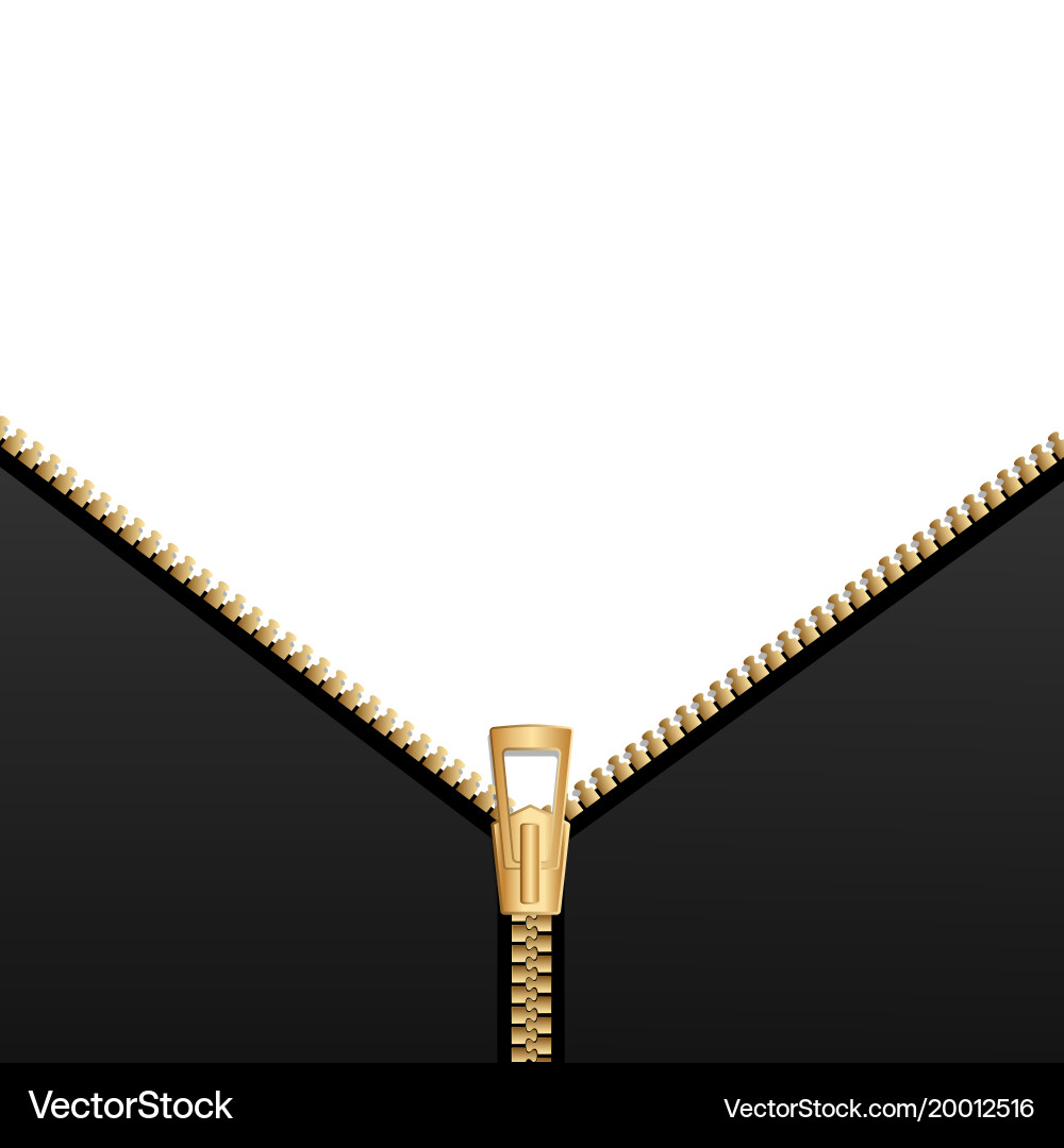 Background with zipper image Vector Image