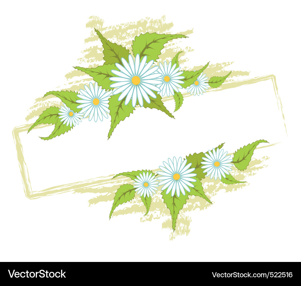 Frame with field daisies Vector Image