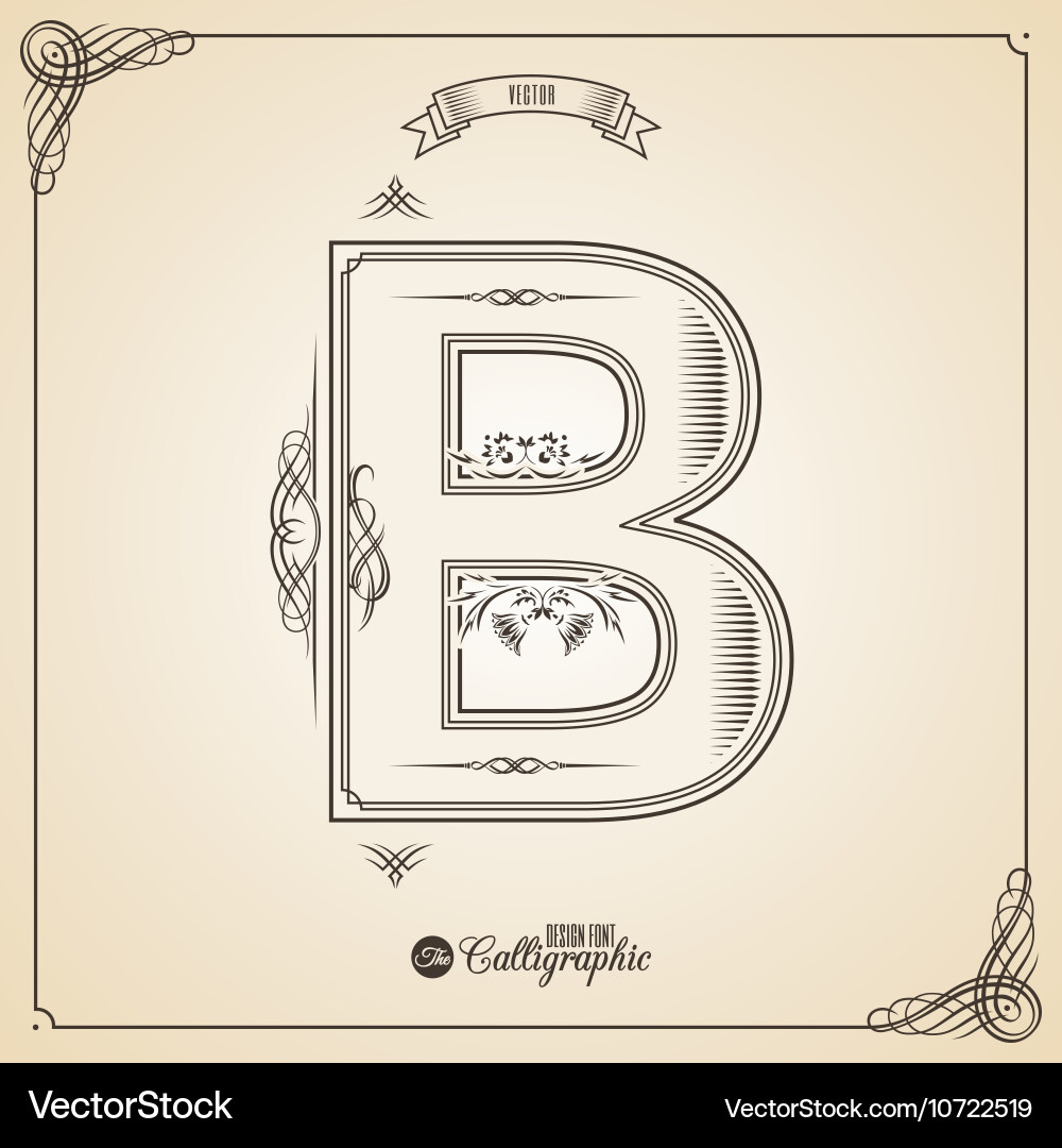 Calligraphic fotn with border frame elements vector image