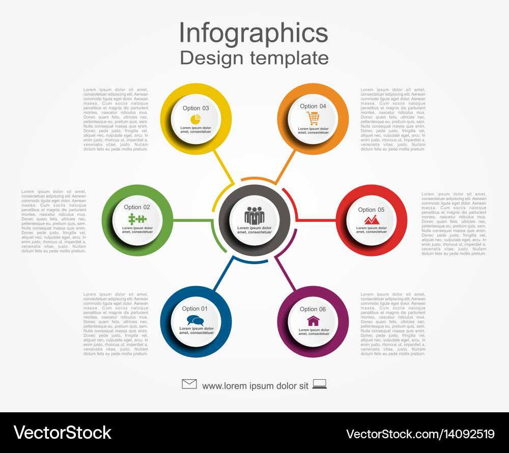 Infographic Template - Data Visualization vector image
