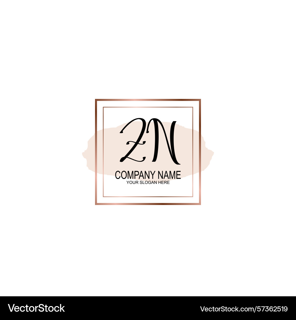 Minimalist handwritten zn initial logos with soft Vector Image