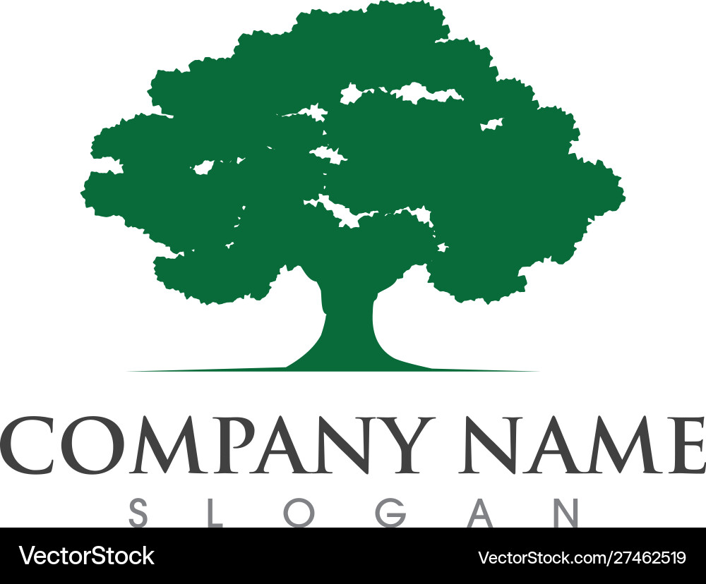 Oak Tree Leaf Logo Vector Image