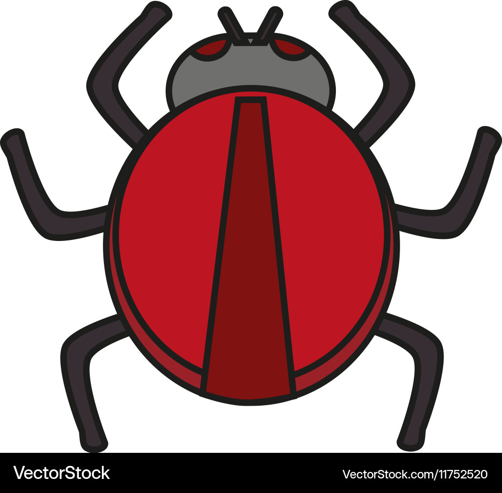 Isolated bug design Vector Image