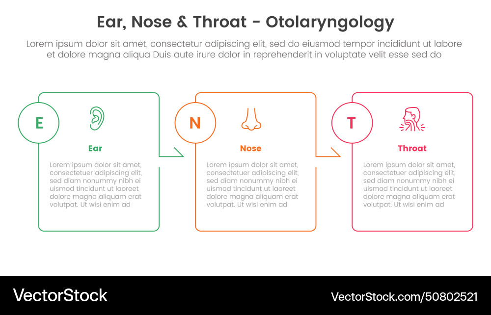 Ent health treatment disease infographic 3 point Ent health treatment disease infographic 3 point vector image