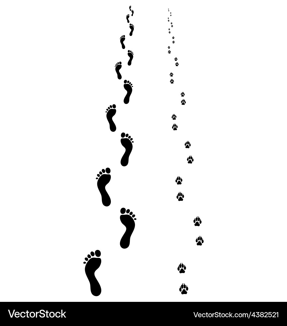 Man and Dog Footprints Vector Image
